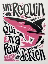 Image 1 of Un requin qui n'a peur de rien