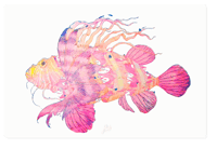 Image 1 of Lion Fish, 90x60cm