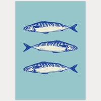 Three mackerel