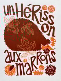 Image 1 of Un hérisson aux marrons