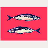 Two Mackerel 