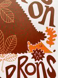 Image 2 of Un hérisson aux marrons