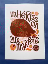 Image 4 of Un hérisson aux marrons