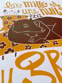Image 3 of Les mille et une nuits du grizzli