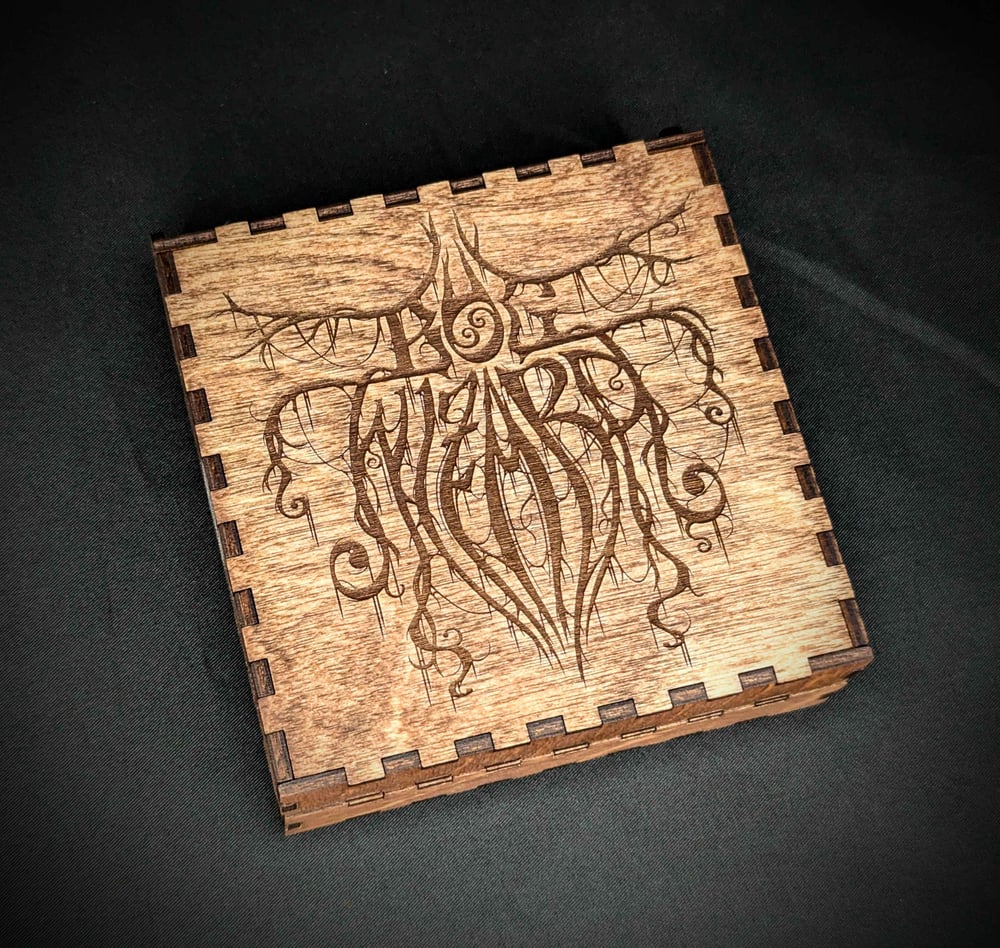 Handmade Bog Wizard Dice Box