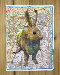 Image 3 of Anaheim Rabbit