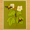 Thimbleberry & Sphinx Moths Print