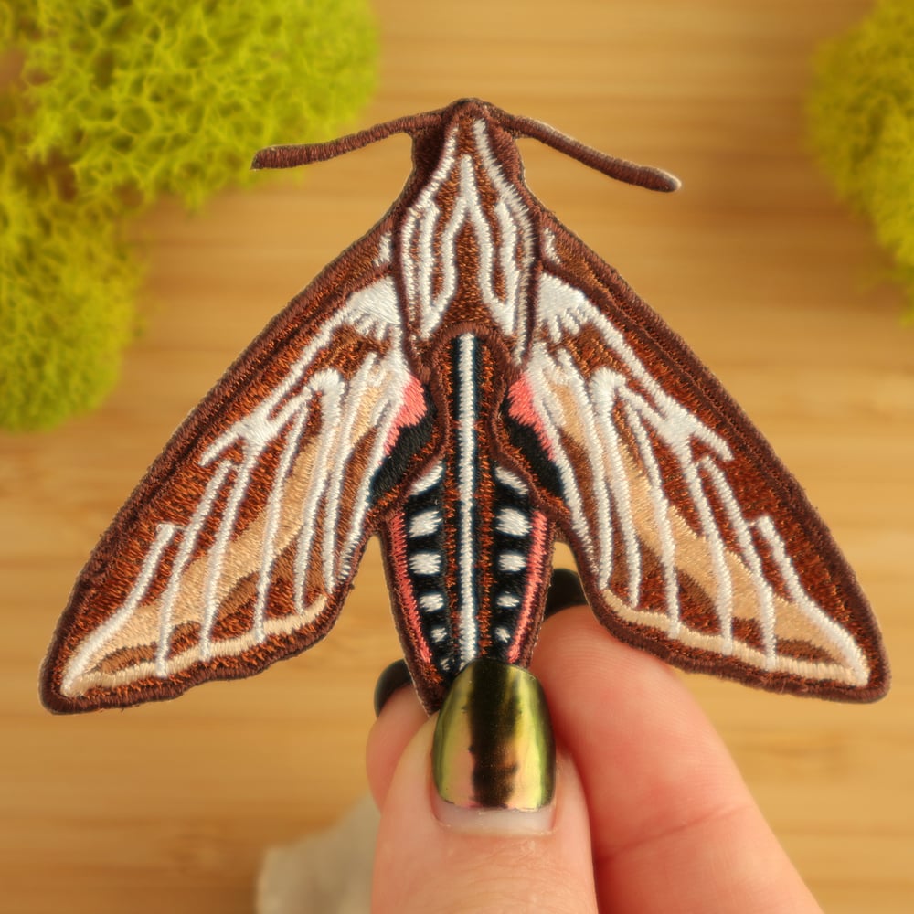 White-lined Sphinx Moth Iron-On Patch