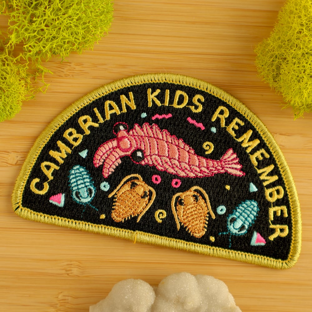 Cambrian Kids Remember Iron-On Patch 