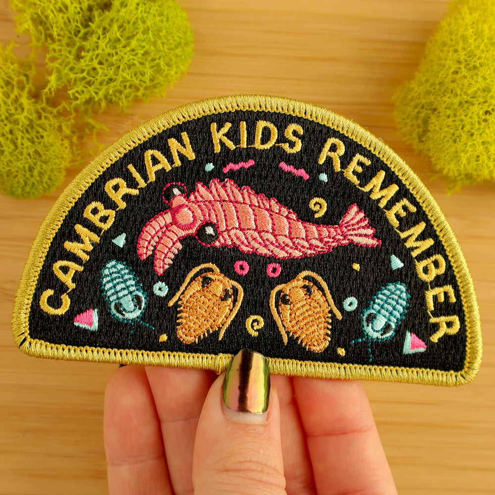 Cambrian Kids Remember Iron-On Patch 