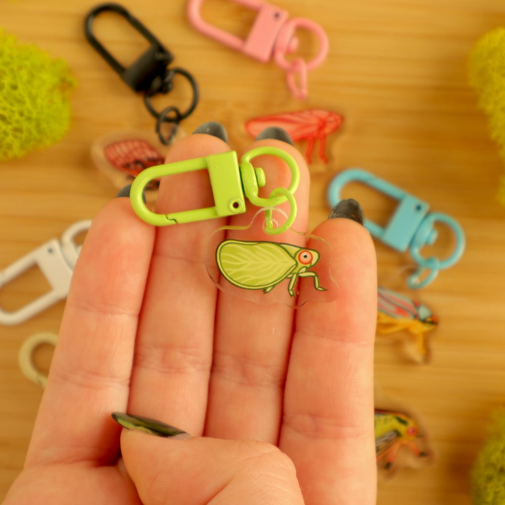 Mini Bug Acrylic Keychain FULL SET