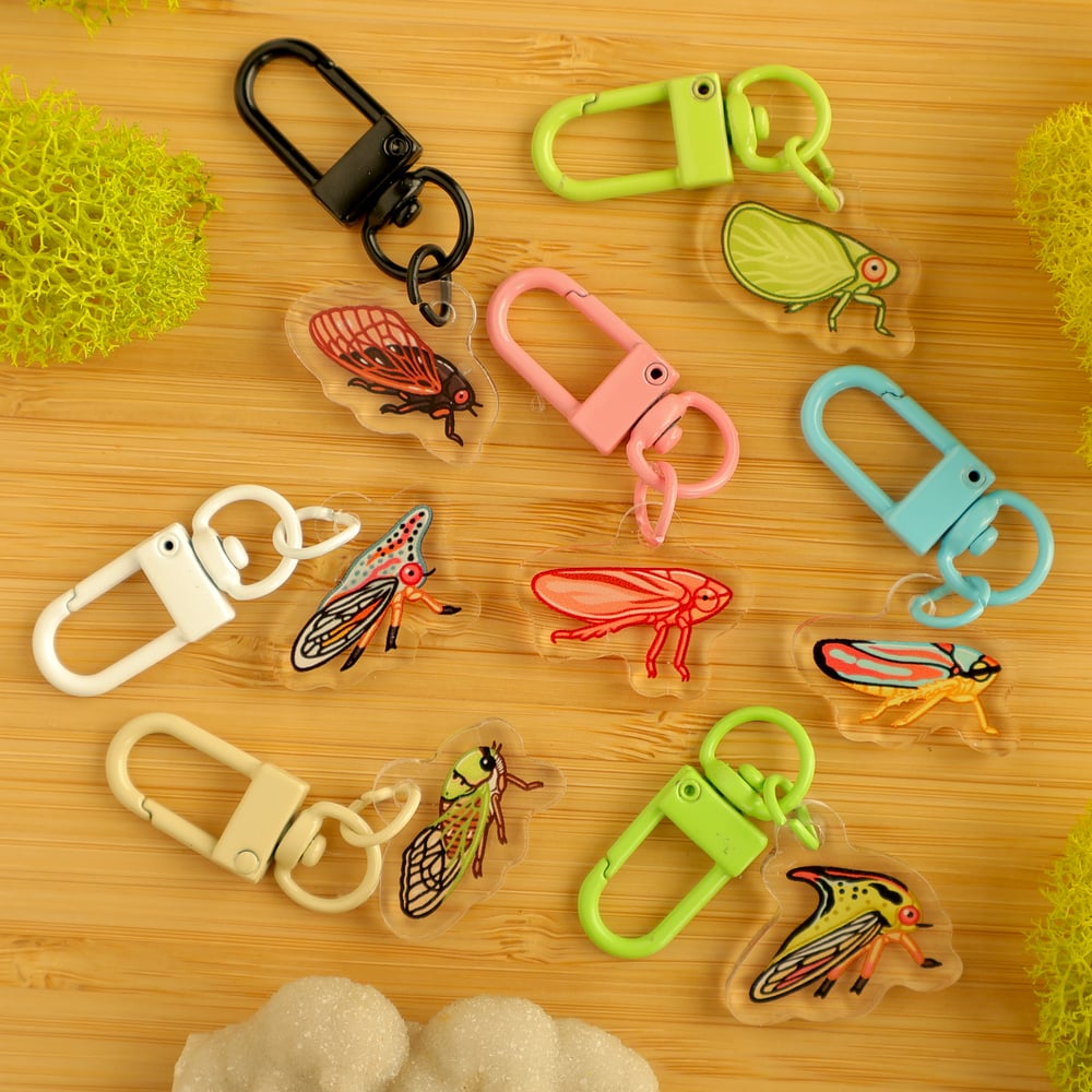 Mini Bug Acrylic Keychain FULL SET