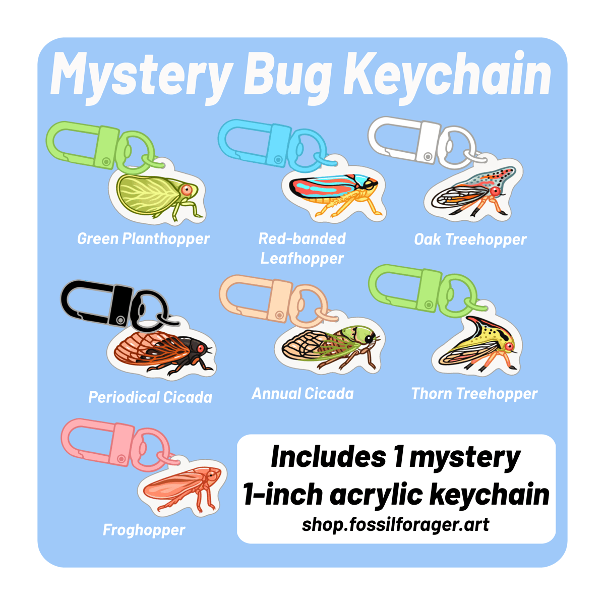 Mystery Mini Bug Acrylic Keychain | fossilforager