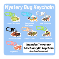 Image 4 of Mystery Mini Bug Acrylic Keychain