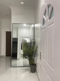 210✖️110cm, mirror