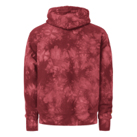 Image 8 of DOMESICK Champion Tie-Dye Hoodie