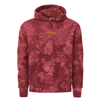 Image 7 of DOMESICK Champion Tie-Dye Hoodie