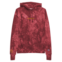 Image 4 of DOMESICK Champion Tie-Dye Hoodie