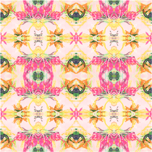 Image of Clematis Blush