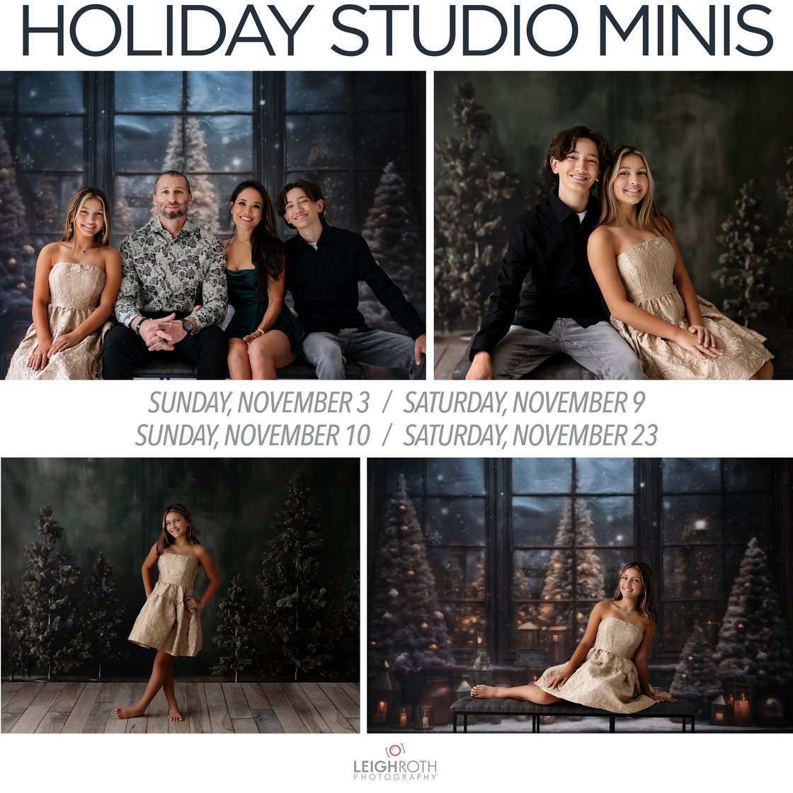 Image of 2024 HOLIDAY MINI SESSIONS