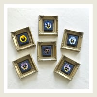 Image 2 of Mini Pansies : Original Art by Heather Lacroix