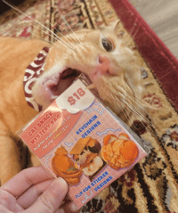 Image 3 of Cat Snack Blind Bag