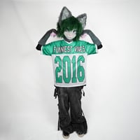 Image 3 of 2016 VINE COMPILATION JERSEY