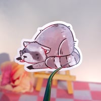 Image 1 of Raccoon Stickers
