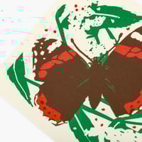 Image 2 of Red Admiral card