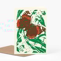 Image 1 of Red Admiral card