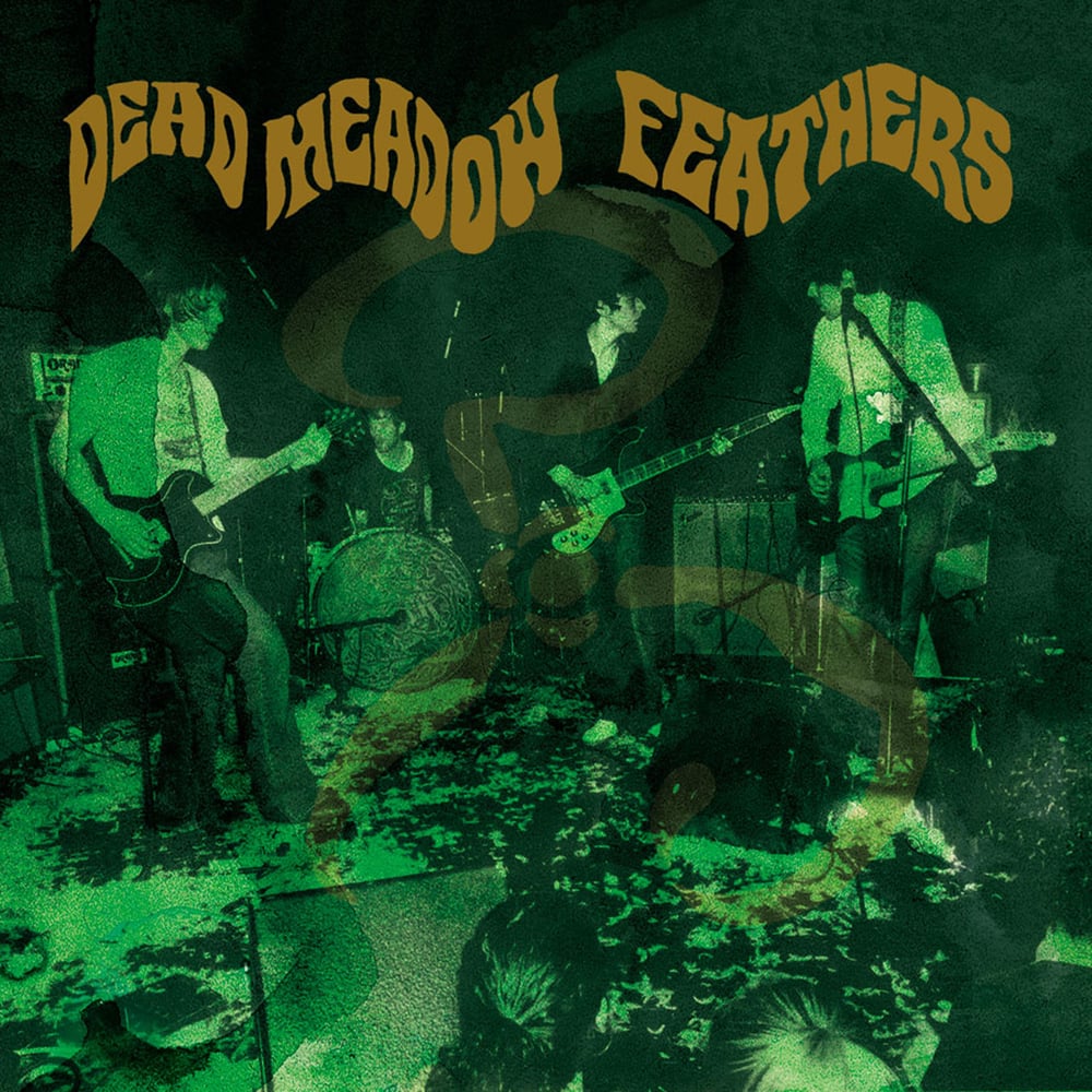 DEAD MEADOW - Feathers 2xLP 