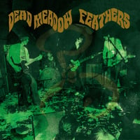 DEAD MEADOW - Feathers 2xLP 