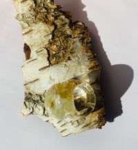 Image 4 of Flora, hvid