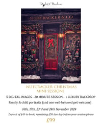 Image 2 of 16th Nov 2024 - Deposit for NUTCRACKER Christmas mini-session