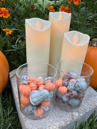 Image 1 of 2oz - Fall Wax Melts