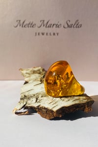 Image 1 of Playground, "rav"