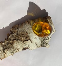 Image 4 of Playground, "rav"