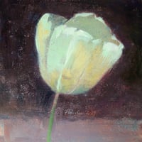 Image 3 of White Tulip