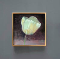 Image 1 of White Tulip