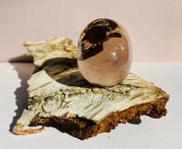 Image 2 of Playground, brun