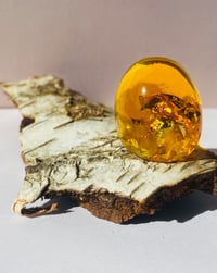 Image 2 of Playground, "rav"