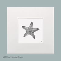 Horned Starfish