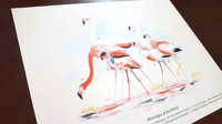 Image 2 of Flamingos Print