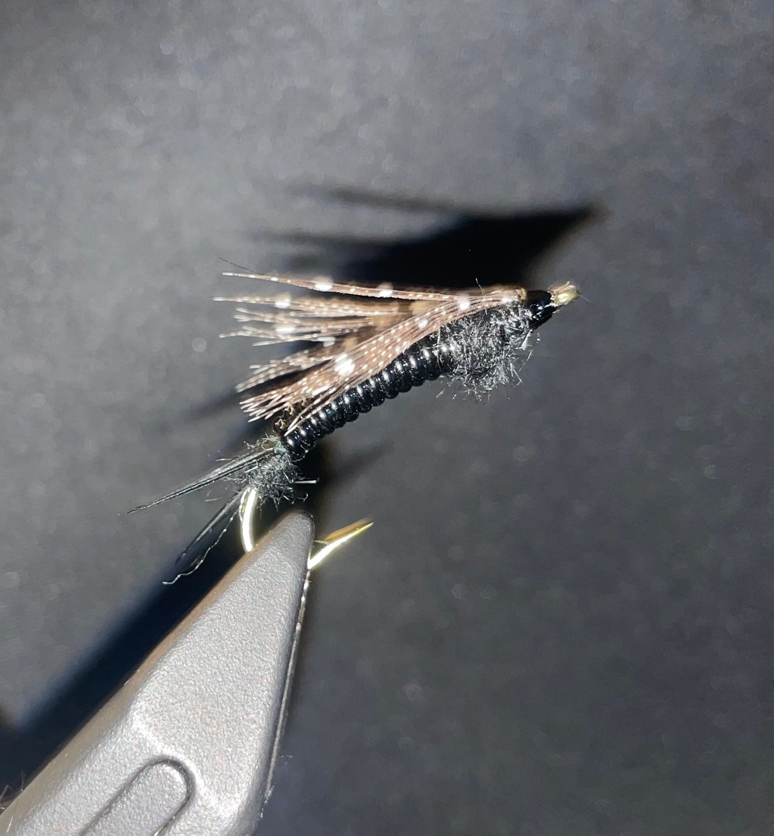 Stonefly Collector's Edition ストーンフライ Stonefly Collector´s Edition ストーンフライ