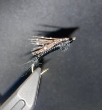 Image 1 of Stonefly 