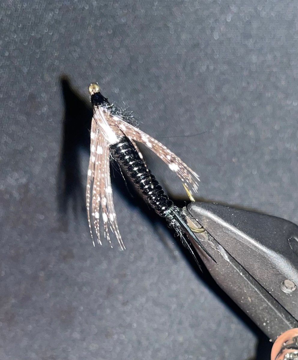 Stonefly | SNS Fishing AKA Scream'n Steel
