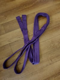 Image 4 of Aerial Body Loops