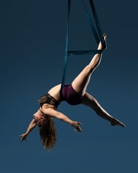 Image 1 of Narrow Aerial Body Loops