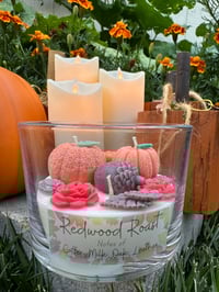 Image 1 of 16oz - Redwood Roast