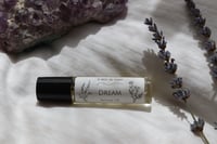 Image 1 of Dream Perfume Oil | Body Oil | Lavender Blend | Non-toxic | Small batch | Handmade